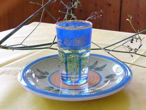 Wild fennel tea, Jerusalem, Israel | &copy; Melech ben Ya'aqov, Karaite Insights