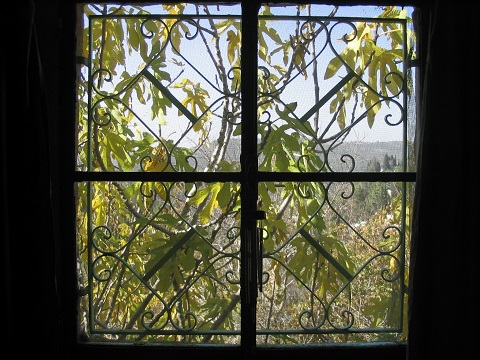 The world through a window: autumn fig tree, Jerusalem, Israel | &copy; Melech ben Ya'aqov, Karaite Insights