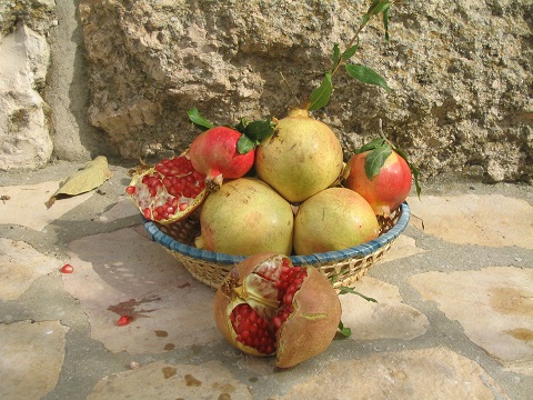 Pomegranates in a wicker basket, Jerusalem, Israel | &copy; Melech ben Ya'aqov, Karaite Insights